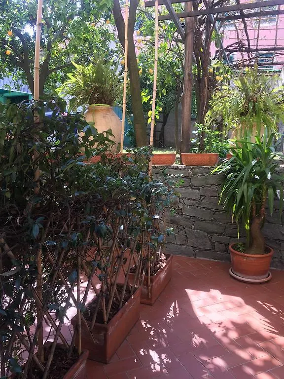 Отель Camera 3 Archi Леванто
